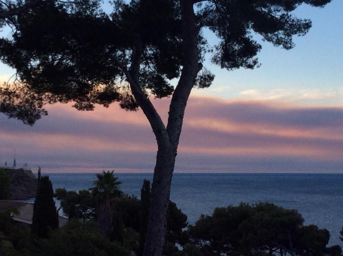 Les Bruyeres Bed & Breakfast Saint-Mandrier-sur-Mer Exterior foto